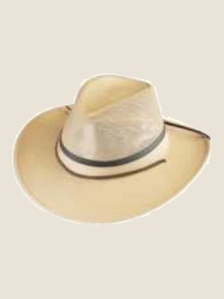 Trilby, Champagne Beige
