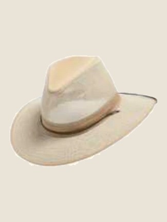 Trilby, Champagne Beige