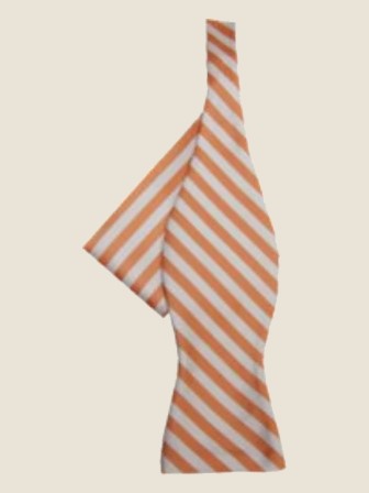 Bow Tie, Camel
