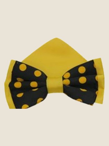 Bow Tie, Gold
