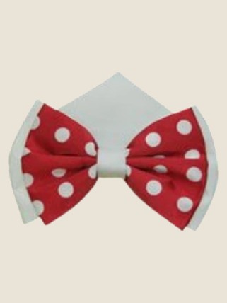 Bow Tie, Silver