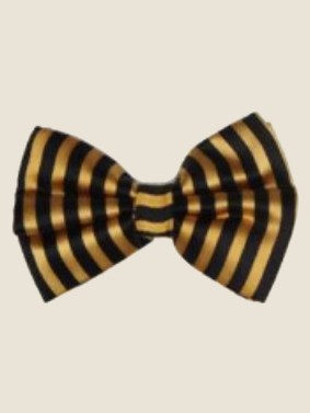 Bow Tie, Black