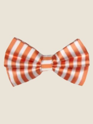 Bow Tie, Melon