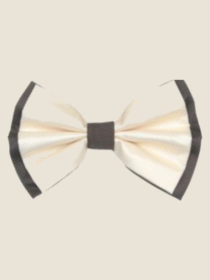 Bow Tie, White